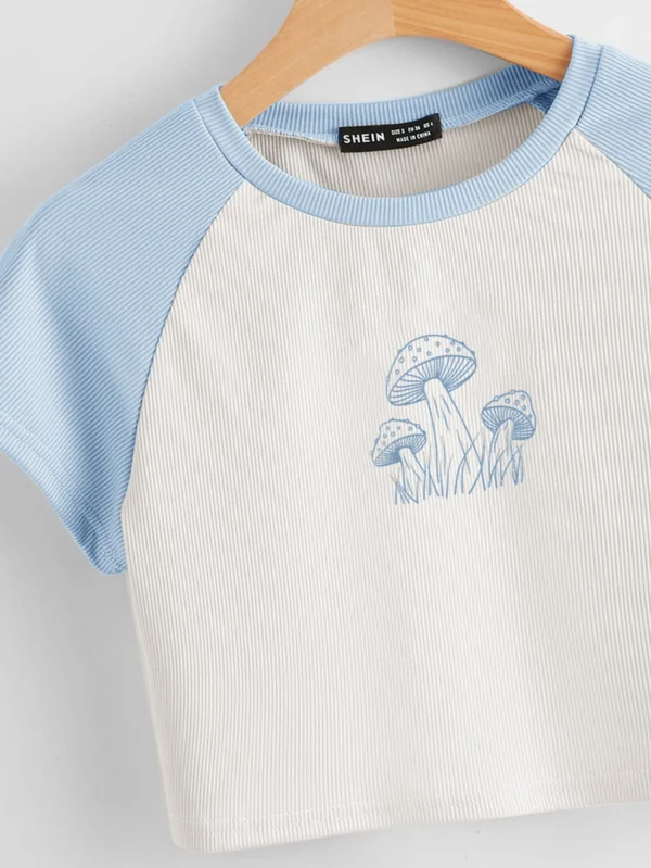 Camiseta corta de manga ragl?n con estampado de seta - Imagen 3